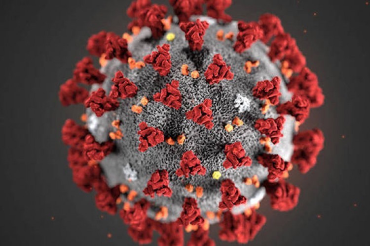 Applicabilità della clausola di forza maggiore nelle dispute contrattuali durante l’emergenza da Coronavirus