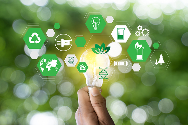 Le Società Benefit come strumento di attuazione della strategia sostenibile