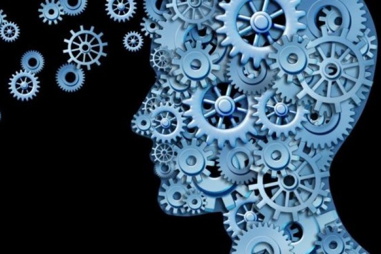 Risarcimento del danno per utilizzo abusivo di software protetto