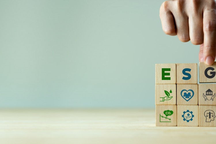 I fattori ESG: impatto sui criteri di governance