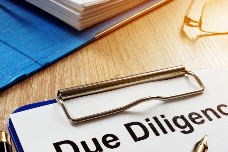 La due diligence