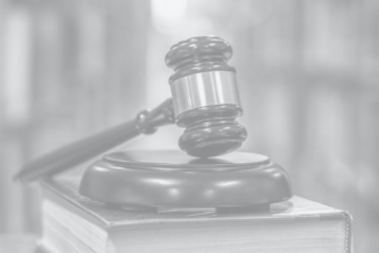 Approfondimento Coronavirus – Litigation