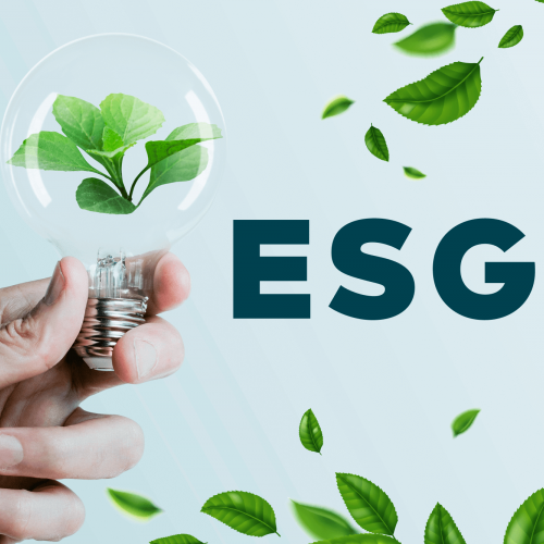 ESG e governance sostenibile: il ruolo e i doveri degli organi amministrativi