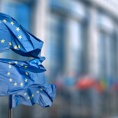 Recovery and Resilience Facility: un futuro più verde e più digitale per i cittadini e le imprese d’Europa