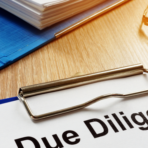 La due diligence
